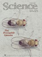 Science cover 287(5461) 2000