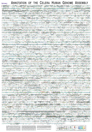 Annotation of the Celera Human Genome Assembly