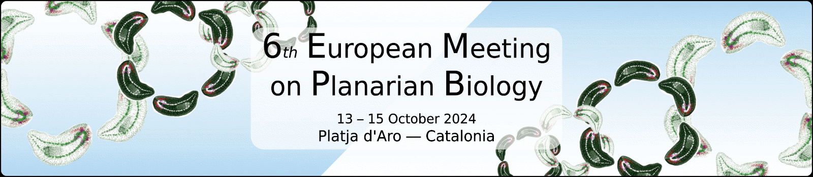 EMPB2024 - 6th European Meeting on Planarian Biology 2024
